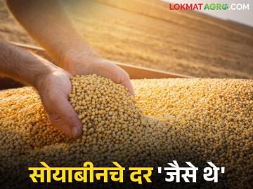 Soybean Market Update : बाजारात सोयाबीनची आवक वाढली; पण दर 'जैसे थे'! वाचा सविस्तर - Marathi News | latest news Soybean Market Update: Soybean arrivals increased; but prices remained the same Read in detail | Latest News at Lokmat.com Soybean Market Update : बाजारात सोयाबीनची आवक वाढली; पण दर 'जैसे थे'! वाचा सविस्तर - Marathi News | latest news Soybean Market Update: Soybean arrivals increased; but prices remained the same Read in detail | Latest News at Lokmat.com