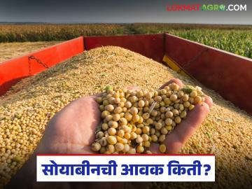 Soybean Bajar Bhav : सोयाबीनला पुन्हा तेजी? वाशिममध्ये दरांनी मोडला विक्रम वाचा सविस्तर - Marathi News | latest news Soybean Bajar Bhav: Soybean prices up again? Prices break record in Washim Read in detail | Latest News at Lokmat.com