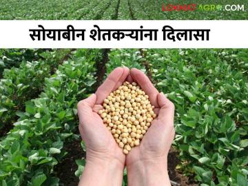 सोयाबीन शेतकऱ्यांसाठी गुडन्यूज : ९० दिवसांसाठी हमीभावाने सोयाबीन खरेदी केंद्र सुरू करण्यास मान्यता - Marathi News | Good News for Soybean Farmers : Approval to start Soybean Buying Center with Minimum Support Price MSPfor 90 days | Latest News at Lokmat.com