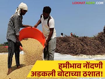 Soybean Kharedi : हमीभाव नोंदणी अडकली बोटाच्या ठशात; ज्येष्ठ शेतकऱ्यांसाठी त्रासदायक प्रक्रिया