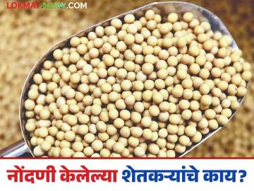 Soybean Procurement: सोयाबीन खरेदी केंद्रांवर वाहनांच्या रांगा; पोर्टल सुरू असेपर्यंत खरेदी! वाचा सविस्तर - Marathi News | Soybean Procurement: latest news Queues of vehicles at soybean procurement centers; Purchase until the portal is open! Read in detail | Latest News at Lokmat.com