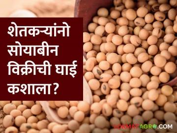 शेतकऱ्यांना आता टेंशन नाही; तारण योजनेत कर्जाची सुविधा उपलब्ध ! - Marathi News | Farmers Loan facility available in mortgage scheme | Latest News at Lokmat.com