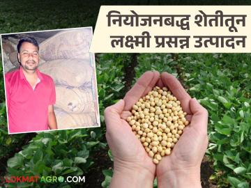 Soybean Success Story : अतिवृष्टीतही भरघोस उत्पादन; सागर घटारे यांच्या नियोजनबद्ध शेतीचं यश वाचा सविस्तर Soybean Success Story : अतिवृष्टीतही भरघोस उत्पादन; सागर घटारे यांच्या नियोजनबद्ध शेतीचं यश वाचा सविस्तर