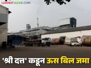 श्री दत्त शिरोळचे एकरकमी, विनाकपात ऊस बिल खात्यावर जमा; शेवटी टनाला काय दिला दर? - Marathi News | Shri datta suagr shirol lump sum, undiscounted sugarcane bill deposited in his account; What was the price per ton in the end? | Latest News at Lokmat.com