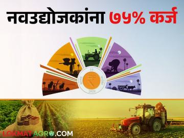 Stand up India स्टँड अप इंडिया योजनेतून नवउद्योजकांना ७५ टक्के कर्ज; १५ टक्के अनुदान - Marathi News | From Stand Up India Scheme | Latest News at Lokmat.com Stand up India स्टँड अप इंडिया योजनेतून नवउद्योजकांना ७५ टक्के कर्ज; १५ टक्के अनुदान - Marathi News | From Stand Up India Scheme | Latest News at Lokmat.com