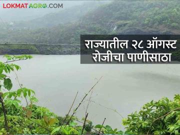 Maharashtra Dam Storage : राज्यातील 24 धरणे 90 टक्क्यांवर, जिल्ह्यानुसार धरण पाणीसाठा किती? वाचा सविस्तर  - Marathi News | Maharashtra Dam Storage: 24 dams in the state at 90 percent, what is the dam water storage by district? Read in detail  | Latest News at Lokmat.com