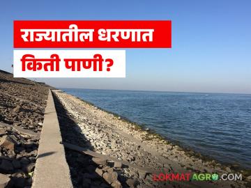Dam Storage : उजनी, जायकवाडी, गंगापूर, भंडारदरा धरणांत किती पाणी शिल्लक, वाचा राज्यातील धरण पाणीसाठा 