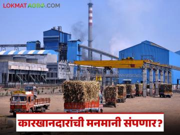 Sugarcane Crushing: ऊस वजनात फसवणूक? आता लगेच पकडली जाणार; सरकार आणणार ऑनलाइन प्रणाली - Marathi News | latest news Sugarcane Crushing : Sugarcane weighing fraud? Now it will be caught immediately; Government to introduce online system | Latest News at Lokmat.com
