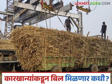 डिसेंबरमध्ये तुटून गेलेल्या उसाचे पेमेंट अजून जमा झालं नाही; शेतकऱ्यांची सर्व बाजूने कोंडी - Marathi News | Payment for sugarcane that was harvesting in December has not been received yet; Farmers in trouble from all sides | Latest News at Lokmat.com
