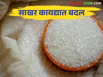 Sugar Act : साखर नियंत्रण कायद्यात होणार बदल साखरेचा हमीभाव कसा ठरणार - Marathi News | Sugar Act : The change in the Sugar Control Act how will be the fix minimum support price of sugar | Latest News at Lokmat.com Sugar Act : साखर नियंत्रण कायद्यात होणार बदल साखरेचा हमीभाव कसा ठरणार - Marathi News | Sugar Act : The change in the Sugar Control Act how will be the fix minimum support price of sugar | Latest News at Lokmat.com