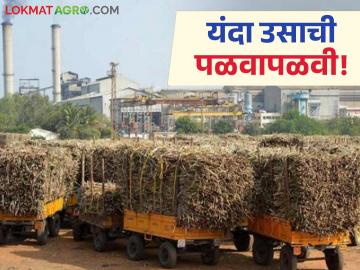 Sugarcane Crushing : नांदेडच्या उसाचा लातूरकरांना गोडवा; किती झाले गाळप वाचा सविस्तर - Marathi News | Sugarcane Crushing : Nanded's sugarcane is sweet to Latur people; Read in detail how much will be crushed | Latest News at Lokmat.com