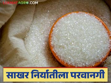 भारताचा साखर व इथेनॉल उत्पादनात जगामध्ये दबदबा; साखर निर्यातीत होणार वाढ - Marathi News | India dominates the world in sugar and ethanol production; Sugar exports will increase | Latest News at Lokmat.com