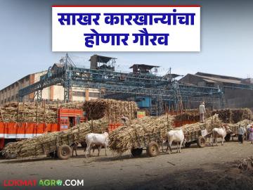 आंतरराष्ट्रीय सहकार वर्षानिमित्त सर्वोत्कृष्ट कामगिरी करणाऱ्या राज्यातील बारा कारखान्यांचा होणार गौरव - Marathi News | Twelve factories in the state that performed best on the occasion of the International Year of Cooperation will be honored | Latest News at Lokmat.com