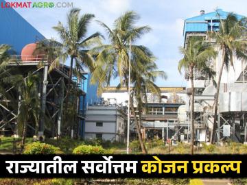 राज्यातील 'ह्या' साखर कारखान्याचा सहवीज निर्मिती प्रकल्प ठरला देशात सर्वोत्कष्ट - Marathi News | This sugar factory's co-generation project in the state has become the best in the country. | Latest News at Lokmat.com