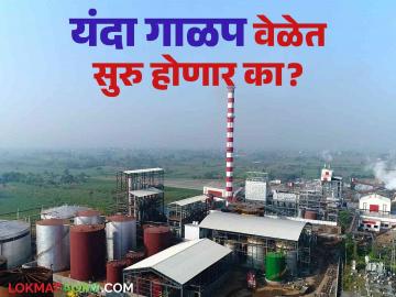 यंदाच्या ऊस हंगामात ३,२५० रुपये पहिली उचल मिळण्याची शक्यता वाचा सविस्तर - Marathi News | The possibility of getting Rs 3,250 first installment in this year's sugarcane season read in detail | Latest News at Lokmat.com