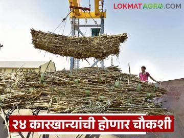 'एनसीडीसी'त घोटाळा; कर्ज गैरवापरामुळे राज्यातील २४ साखर कारखान्यांची चौकशी होणार - Marathi News | NCDC scam; 24 sugar factories in the state to be investigated for loan misuse | Latest News at Lokmat.com