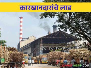Loan for Sugar Factories in Maharashtra : कर्जातल्या साखर कारखान्यांना पुन्हा नवे कर्ज देणे कितपत योग्य - Marathi News | Loan for Sugar Factories in Maharashtra: New loans for sugar factories which already in debt | Latest News at Lokmat.com Loan for Sugar Factories in Maharashtra : कर्जातल्या साखर कारखान्यांना पुन्हा नवे कर्ज देणे कितपत योग्य - Marathi News | Loan for Sugar Factories in Maharashtra: New loans for sugar factories which already in debt | Latest News at Lokmat.com