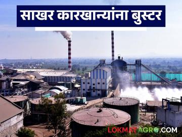 साखर कारखान्यांना मदतीचे पॅकेज; शेतकऱ्यांची थकीत उसाची बिलं आता मिळणार का? - Marathi News | Aid package for sugar factories; Will farmers get their overdue sugarcane bills? | Latest News at Lokmat.com
