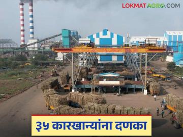 राज्यातील एफआरपी थकबाकी असलेल्या ३५ साखर कारखान्यांची सुनावणी झाली; काय होईल कारवाई? - Marathi News | Hearing held on 35 sugar factories in the state with FRP arrears; What action will be taken? | Latest News at Lokmat.com