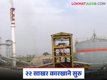 सोलापूर जिल्ह्यातील 'या' २२ साखर कारखान्यांनी केले तेवीस लाख मेट्रिक टन उसाचे गाळप - Marathi News | These 22 sugar factories in Solapur district crushed 2.3 million metric tons of sugarcane | Latest News at Lokmat.com