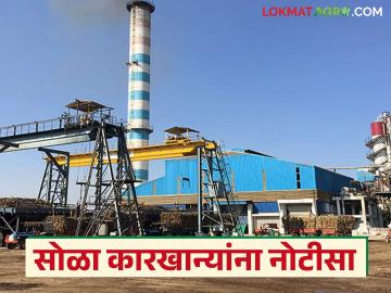 शेतकऱ्यांचा ऊस आणून रक्कम थकविली; या १६ साखर कारखान्यांवर कारवाईची नोटीस - Marathi News | Farmers sugarcane was brought and the amount was deducted; Notice of action was given to these 16 sugar factories | Latest News at Lokmat.com