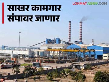 Sugar Factory Workers Strike : राज्यातील साखर कामगार १६ डिसेंबरपासून संपावर - Marathi News | Sugar Factory Workers Strike : Sugar workers in the state are on strike from December 16 | Latest News at Lokmat.com
