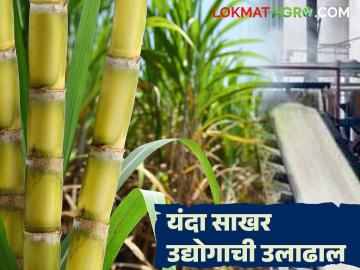 साखर उद्योग चालण्यासाठी अतिरिक्त साखर निर्यातीची गरज; यंदा ७५ टक्के महसूल शेतकऱ्यांना - Marathi News | Additional sugar exports needed to keep the sugar industry running; 75 percent of revenue to go to farmers this year | Latest News at Lokmat.com
