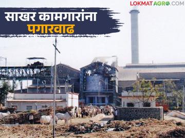 राज्यात सर्वप्रथम 'या' साखर कारखान्याने दिली त्रिपक्षीय समिती करारानुसार कामगारांना पगारवाढ - Marathi News | This sugar factory is the first in the state to give salary hike to workers as per the tripartite committee agreement | Latest News at Lokmat.com