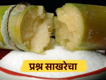 Sugar Market : साखरेमध्ये मागणीपेक्षा पुरवठा अधिक; कारखाने कसं जुळवणार साखरेचं गणित - Marathi News | Sugar Market : Supply exceeds demand in sugar; How will factories adjust the sugar economics? | Latest News at Lokmat.com