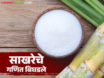 एफआरपीनुसार शेतकऱ्यांची बिले देताना साखर कारखान्यांचे गणित कशामुळे बिघडतंय; वाचा सविस्तर