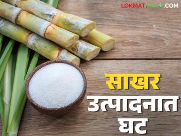 Sakhar Utpadan : देशातील साखर उत्पादनात घट, साखर उताराही घसरला; काय सांगते आकडेवारी? - Marathi News | Sakhar Utpadan : Sugar production in the country has decreased, sugar extraction has also decreased; What does the statistics say? | Latest News at Lokmat.com