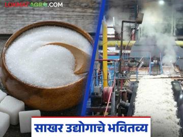 कार्यकारी संचालक परीक्षेत सहकारी साखर कारखान्यांचे उमेदवार काठावर पास; साखर उद्योगाचे कसे होणार? - Marathi News | Candidates of cooperative sugar factories barely pass the executive director exam; What will happen to the sugar industry? | Latest News at Lokmat.com कार्यकारी संचालक परीक्षेत सहकारी साखर कारखान्यांचे उमेदवार काठावर पास; साखर उद्योगाचे कसे होणार? - Marathi News | Candidates of cooperative sugar factories barely pass the executive director exam; What will happen to the sugar industry? | Latest News at Lokmat.com