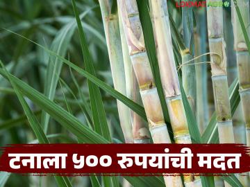 पंजाब व कर्नाटकच्या धर्तीवर ऊस उत्पादक शेतकऱ्यांना प्रतिटन ५०० रुपयांची मदत देण्याची मागणी - Marathi News | Demand for assistance of Rs 500 per tonne to sugarcane farmers on the lines of Punjab and Karnataka | Latest News at Lokmat.com पंजाब व कर्नाटकच्या धर्तीवर ऊस उत्पादक शेतकऱ्यांना प्रतिटन ५०० रुपयांची मदत देण्याची मागणी - Marathi News | Demand for assistance of Rs 500 per tonne to sugarcane farmers on the lines of Punjab and Karnataka | Latest News at Lokmat.com