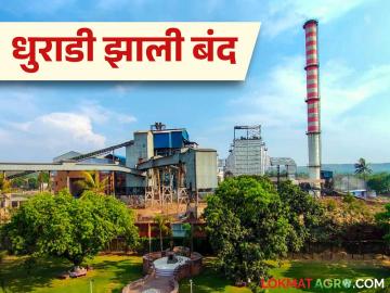 कोल्हापूर जिल्ह्यात या ११ साखर कारखान्यांचा हंगाम संपला; अजून किती होईल गाळप? - Marathi News | The crushing season of these 11 sugarcane factory in Kolhapur district is over; How much more will be crushing? | Latest News at Lokmat.com