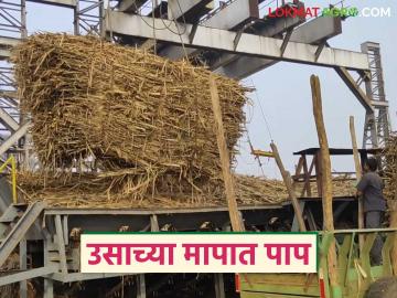 एकाच कारखान्याच्या दोन वजन काट्यावर वेगवेगळी वजने; उसाच्या वजनात २ टनापर्यंत फरक - Marathi News | Different weights on two weighing scales of the same factory; difference in sugarcane weight up to 2 tons | Latest News at Lokmat.com