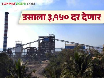 यंदा पाच लाख टन गाळप झाल्यास 'हा' साखर कारखाना उसासाठी ३,१५० रुपयांचा दर देणार - Marathi News | This sugar factory will pay Rs 3,150 for sugarcane if it crushes five lakh tonnes this year | Latest News at Lokmat.com यंदा पाच लाख टन गाळप झाल्यास 'हा' साखर कारखाना उसासाठी ३,१५० रुपयांचा दर देणार - Marathi News | This sugar factory will pay Rs 3,150 for sugarcane if it crushes five lakh tonnes this year | Latest News at Lokmat.com