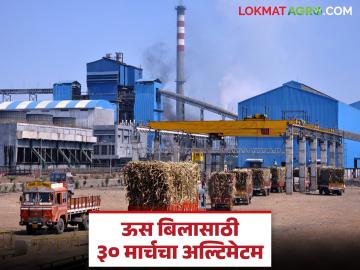 शेतकऱ्यांची उसाची बिलं देण्यासाठी कारखान्यांना ३० मार्चचा अल्टिमेटम; एप्रिलमध्ये होणार मोठी कारवाई - Marathi News | March 30 ultimatum to factories to pay farmers' sugarcane bills; major action to be taken in April | Latest News at Lokmat.com शेतकऱ्यांची उसाची बिलं देण्यासाठी कारखान्यांना ३० मार्चचा अल्टिमेटम; एप्रिलमध्ये होणार मोठी कारवाई - Marathi News | March 30 ultimatum to factories to pay farmers' sugarcane bills; major action to be taken in April | Latest News at Lokmat.com