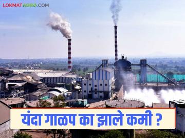 यंदा राज्यातील शेतकऱ्यांना ऊस गाळपातून मिळणाऱ्या रकमेला १५ हजार कोटी रुपयांचा फटका - Marathi News | This year, the income earned by farmers in the state from sugarcane crushing will be hit by Rs 15,000 crore | Latest News at Lokmat.com