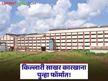 Sugarcane Crushing : ऊस उत्पादकांसाठी आनंदाची बातमी; किल्लारी कारखान्याने गाठला विक्रमी गाळप टप्पा वाचा सविस्तर - Marathi News | latest news Sugarcane Crushing: Good news for sugarcane growers; Killari factory reaches record crushing milestone Read in detail | Latest News at Lokmat.com