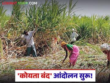 Sugarcane Farmers Protest : 'कोयता बंद' आंदोलन सुरू; ऊसदरवाढ नाही? तर कारखाने बंद वाचा सविस्तर - Marathi News | latest news Sugarcane Farmers Protest: 'Koyata Bandh' agitation begins; No sugarcane price hike? Then factories will be closed Read in detail | Latest News at Lokmat.com