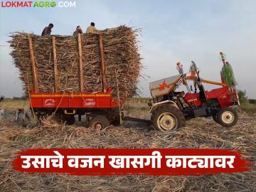 शेतकऱ्यांना कोणत्याही खासगी काट्यावर स्वखर्चाने ऊस वजन करू देण्याची परवानगी द्यावी - Marathi News | Farmers should be allowed to have their sugarcane weighed at any private weighbridge at their own expense | Latest News at Lokmat.com शेतकऱ्यांना कोणत्याही खासगी काट्यावर स्वखर्चाने ऊस वजन करू देण्याची परवानगी द्यावी - Marathi News | Farmers should be allowed to have their sugarcane weighed at any private weighbridge at their own expense | Latest News at Lokmat.com