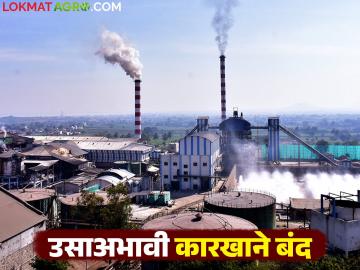 राज्यात सुरू झालेल्या २०० साखर कारखान्यांपैकी किती कारखान्यांचा पट्टा पडला? - Marathi News | Out of the 200 sugar factories started in the state, how many factories stop the crushing? | Latest News at Lokmat.com