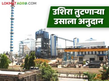 सोमेश्वर कारखान्याकडून उशिरा तुटणाऱ्या उसाला अनुदान जाहीर; कोणत्या महिन्यात किती अनुदान? - Marathi News | Someshwar factory announces subsidy for late harvesting sugarcane; How much subsidy in which month? | Latest News at Lokmat.com