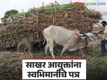 पहिल्या उचलबाबत पंधरा दिवसांत निर्णय घ्या अन्यथा तीव्र आंदोलनाचा इशारा - Marathi News | Take decision within fifteen days regarding first installment of sugarcane crushing an otherwise severe agitation warning | Latest News at Lokmat.com पहिल्या उचलबाबत पंधरा दिवसांत निर्णय घ्या अन्यथा तीव्र आंदोलनाचा इशारा - Marathi News | Take decision within fifteen days regarding first installment of sugarcane crushing an otherwise severe agitation warning | Latest News at Lokmat.com