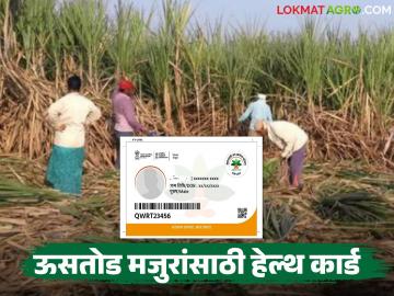 Sugarcane Workers Health Card : ऊसतोडीसाठी निघालात? जपा तुमचे 'हेल्थ कार्ड' प्रत्येक ठिकाणी होणार फायदा - Marathi News | latest news Sugarcane Workers Health Card: Going out for sugarcane harvesting? Keep your 'health card', it will be beneficial everywhere | Latest News at Lokmat.com