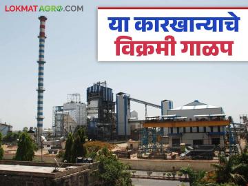 महाराष्ट्रात सर्वात जास्त दर देणाऱ्या कारखान्याचे ९३ दिवसांत ९ लाख ८८ हजार क्विंटल साखर पोत्यांचे उत्पादन - Marathi News | The factory that pays the highest price in Maharashtra produces 9 lakh 88 thousand quintals of sugar bags in 93 days | Latest News at Lokmat.com
