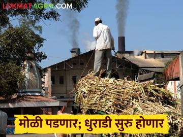 सीमाभागातील साखर कारखान्यांचा हंगाम लवकरच सुरू होण्याची शक्यता; यंदा ऊस पुरणार का? - Marathi News | Sugar mill season in border areas likely to start soon; Will there be enough sugarcane this year? | Latest News at Lokmat.com