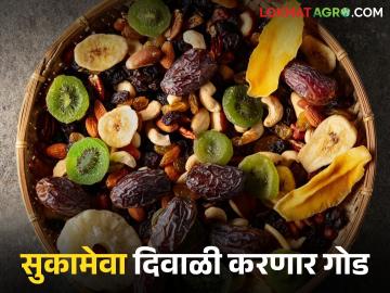 दसरा-दिवाळी होणार आणखी गोड, सुकामेव्याचे दर आले आवाक्यात; वाचा सविस्तर - Marathi News | Dussehra-Diwali will be even sweeter, prices of dry fruits have come within reach; Read in detail | Latest News at Lokmat.com
