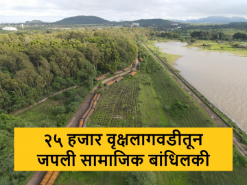 गंगापूर धरण परिसरात भारतीय प्रजातीच्या २५ हजार वृक्षांची लागवड - Marathi News | Plantation of 25 thousand trees of Indian species in Gangapur Dam area by Sula vineyard | Latest News at Lokmat.com