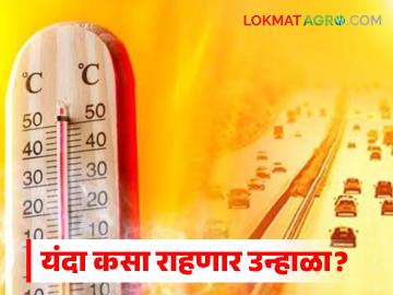 यंदा कसा राहणार उन्हाळा? राज्यात कोणत्या भागात उष्णतेची तीव्रता अधिक असणार? - Marathi News | How will the summer be this year? In which parts of the state will the heat intensity be the highest? | Latest News at Lokmat.com